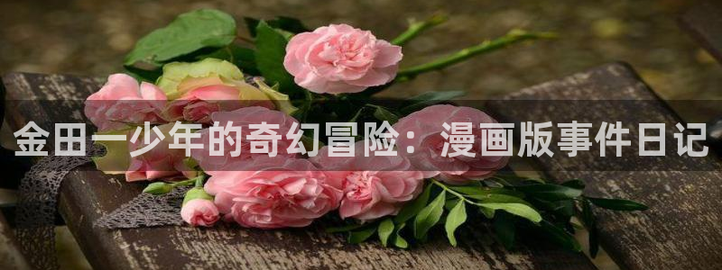gayrb腐漫画网