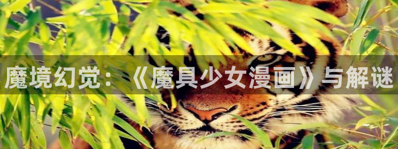 cc腐漫画
