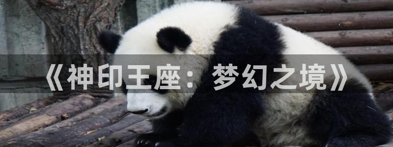 动漫腐漫：《神印王座：梦幻之境》