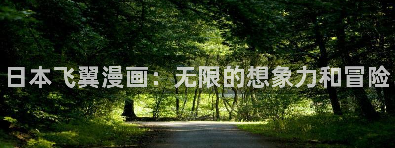 腐漫画免费网址：日本飞翼漫画：无限的想象力和冒险