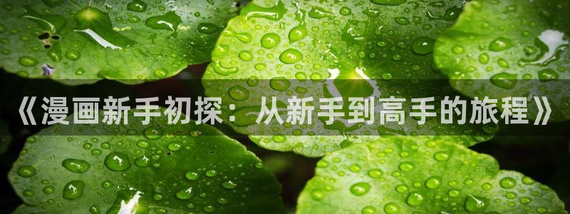 腐漫网在线：《漫画新手初探：从新手到高手的旅程》