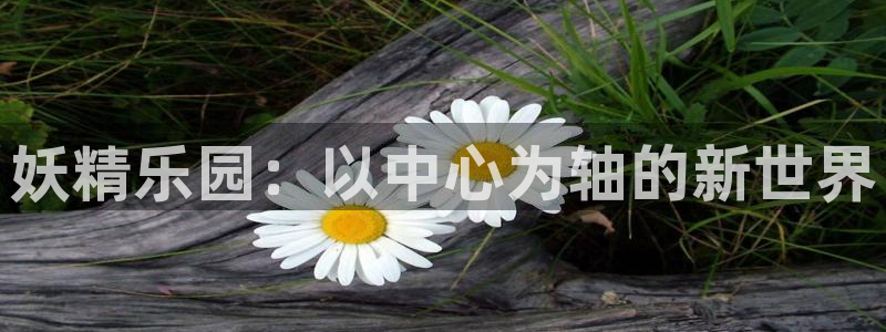 腐漫友：妖精乐园：以中心为轴的新世界