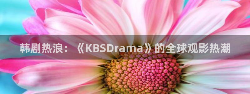 高h腐漫：韩剧热浪：《KBSDrama》的全球观影热潮