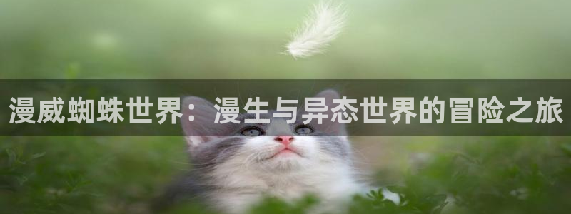 漫画腐漫画：漫威蜘蛛世界：漫生与异态世界的冒险之旅