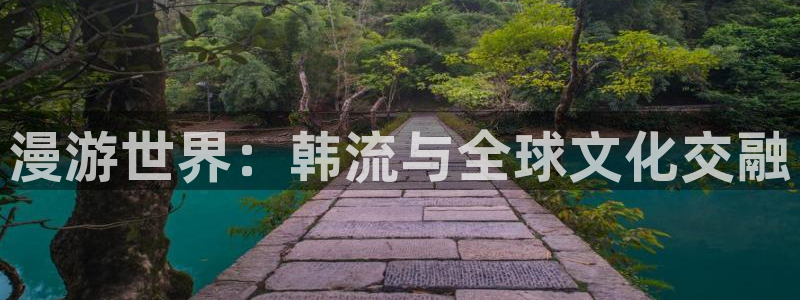 腐漫漫画在线看：漫游世界：韩流与全球文化交融