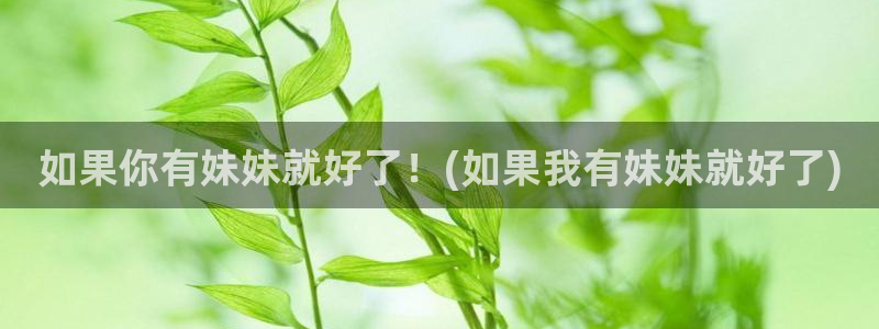 错山腐漫
