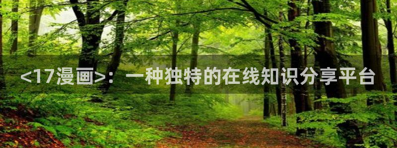 腐漫画大全：<17漫画>：一种独特的在线知识分享平台