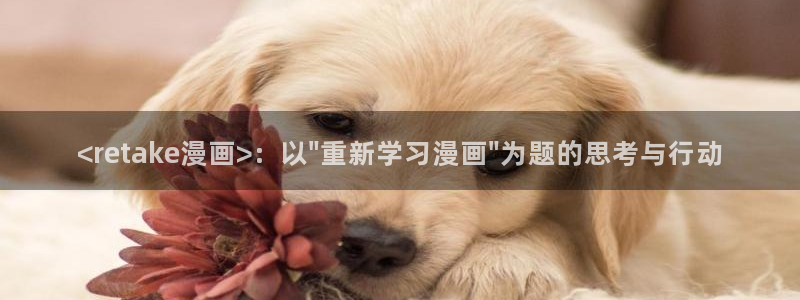 腐漫 韩漫：<retake漫画>：以\