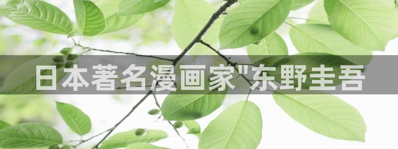 腐漫免费在线观看：日本著名漫画家\