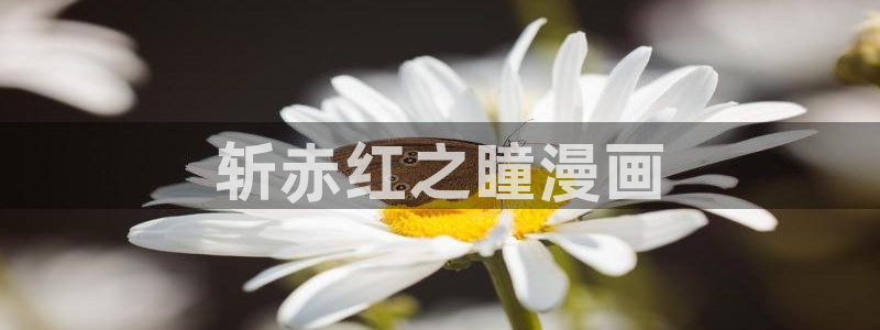 腐漫画网址在线：斩赤红之瞳漫画