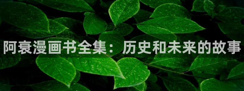 香香腐漫画：阿衰漫画书全集：历史和未来的故事