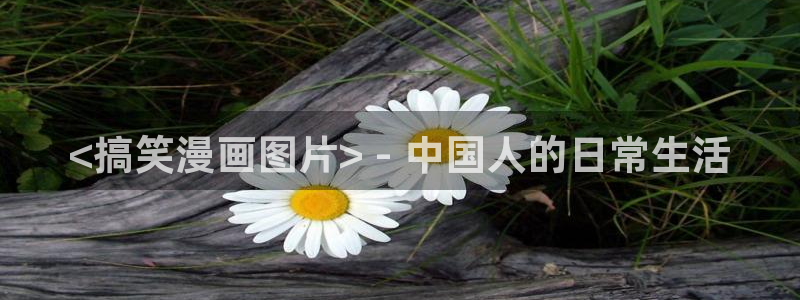 腐漫画免费下载：<搞笑漫画图片> - 中国人的日常生活