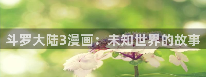 腐漫免费在线阅读：斗罗大陆3漫画：未知世界的故事