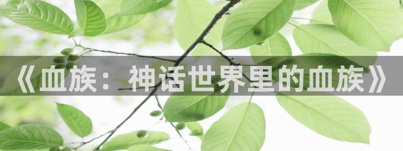 什么是腐漫：《血族：神话世界里的血族》