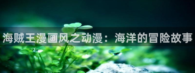 腐漫无遮挡：海贼王漫画风之动漫：海洋的冒险故事