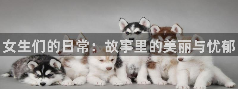 腐漫画软件app下载