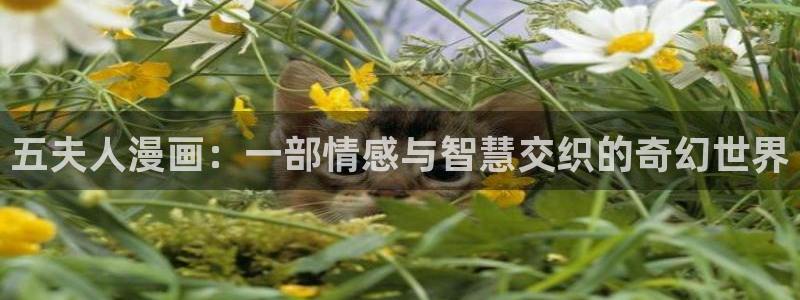 腐漫漫画网