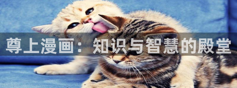 腐腐漫画