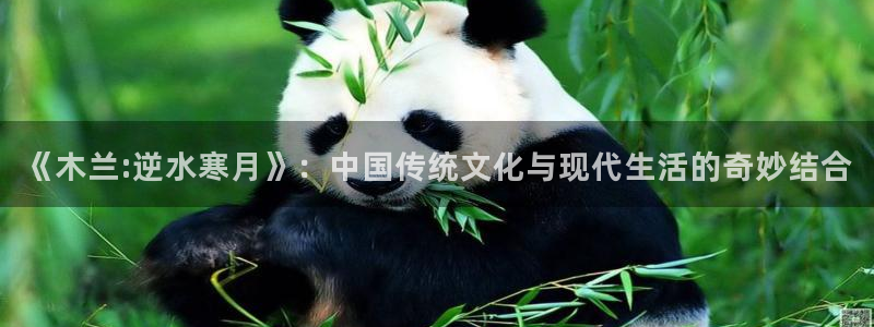 啵乐腐漫画：《木兰:逆水寒月》：中国传统文化与现代生活的奇妙结合