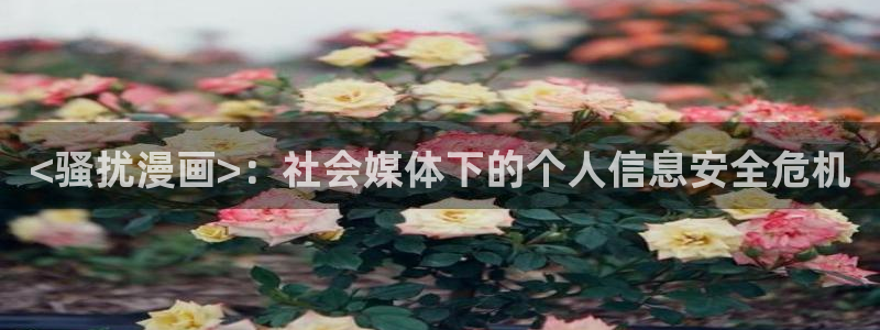 黑执事腐漫画：<骚扰漫画>：社会媒体下的个人信息安全危机