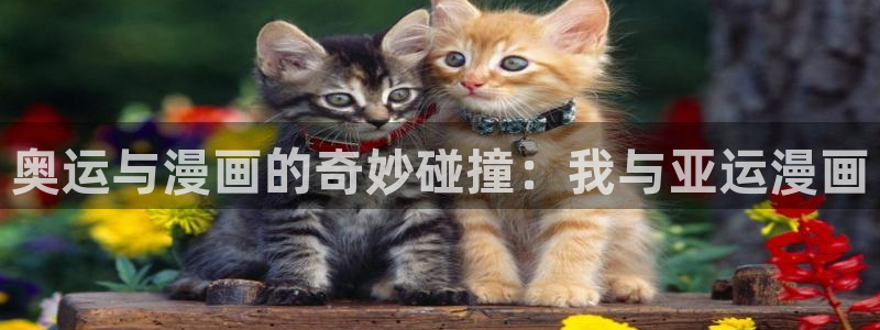 腐漫漫画网站：奥运与漫画的奇妙碰撞：我与亚运漫画