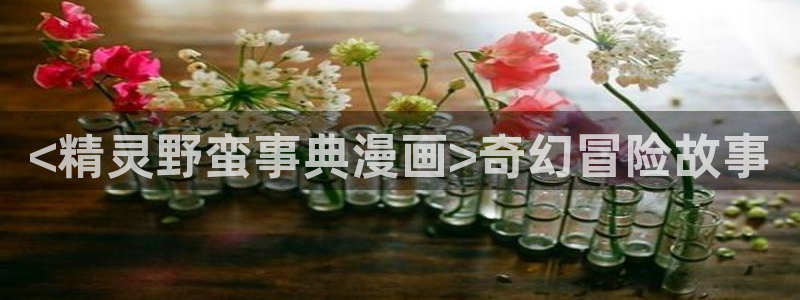 腐漫画大全推荐：<精灵野蛮事典漫画>奇幻冒险故事