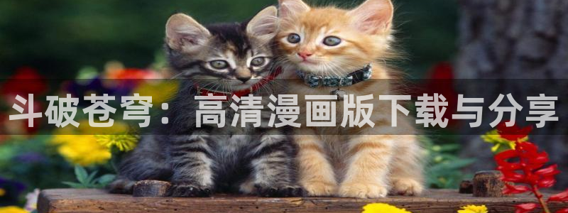 腐漫8：斗破苍穹：高清漫画版下载与分享